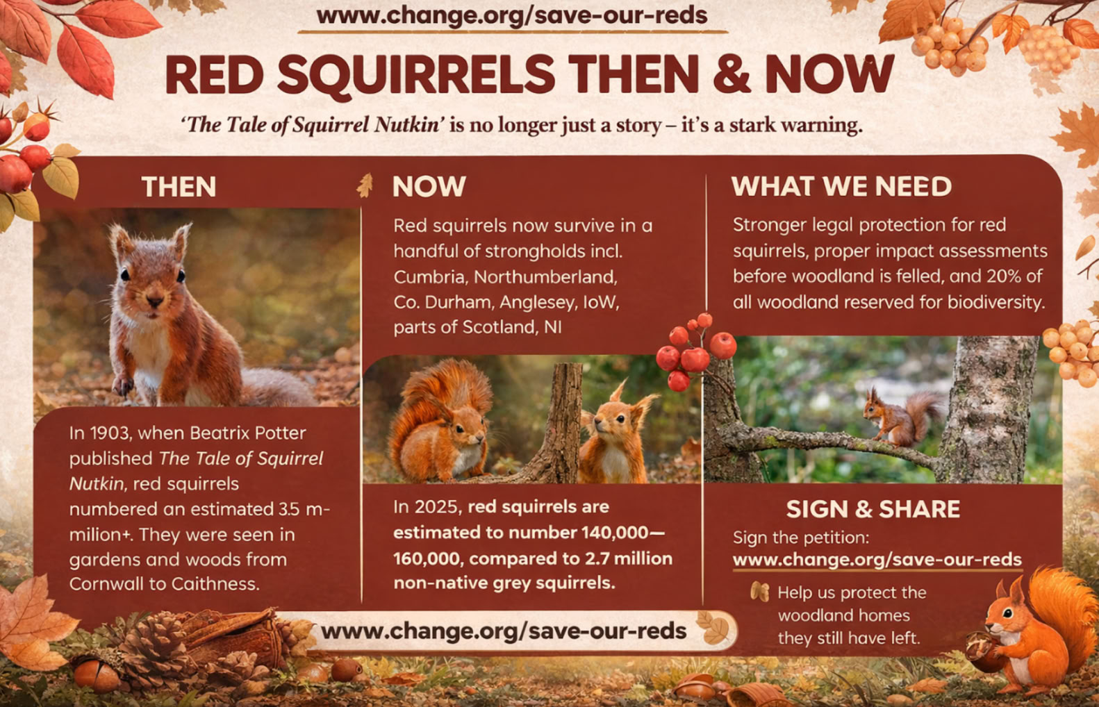 Poster promoting red squirrels - their demise due to de-forestation and non-native greys carrying deadly squirrel pox